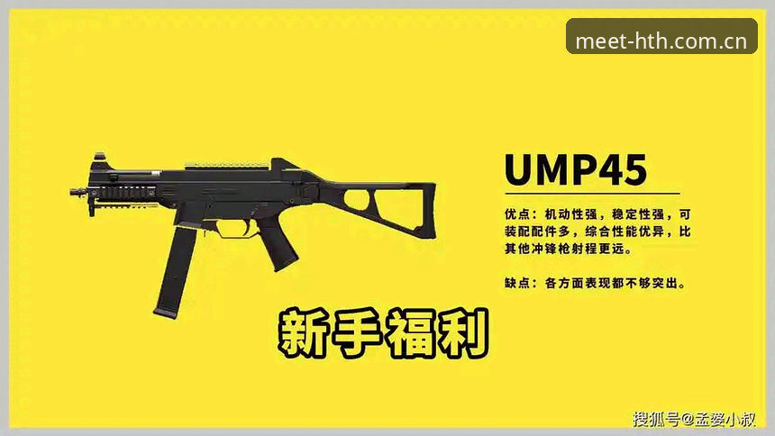 HTH华体会中国站入口 深度揭秘HTH华体会中国站入口:从新手到精通的操作攻略